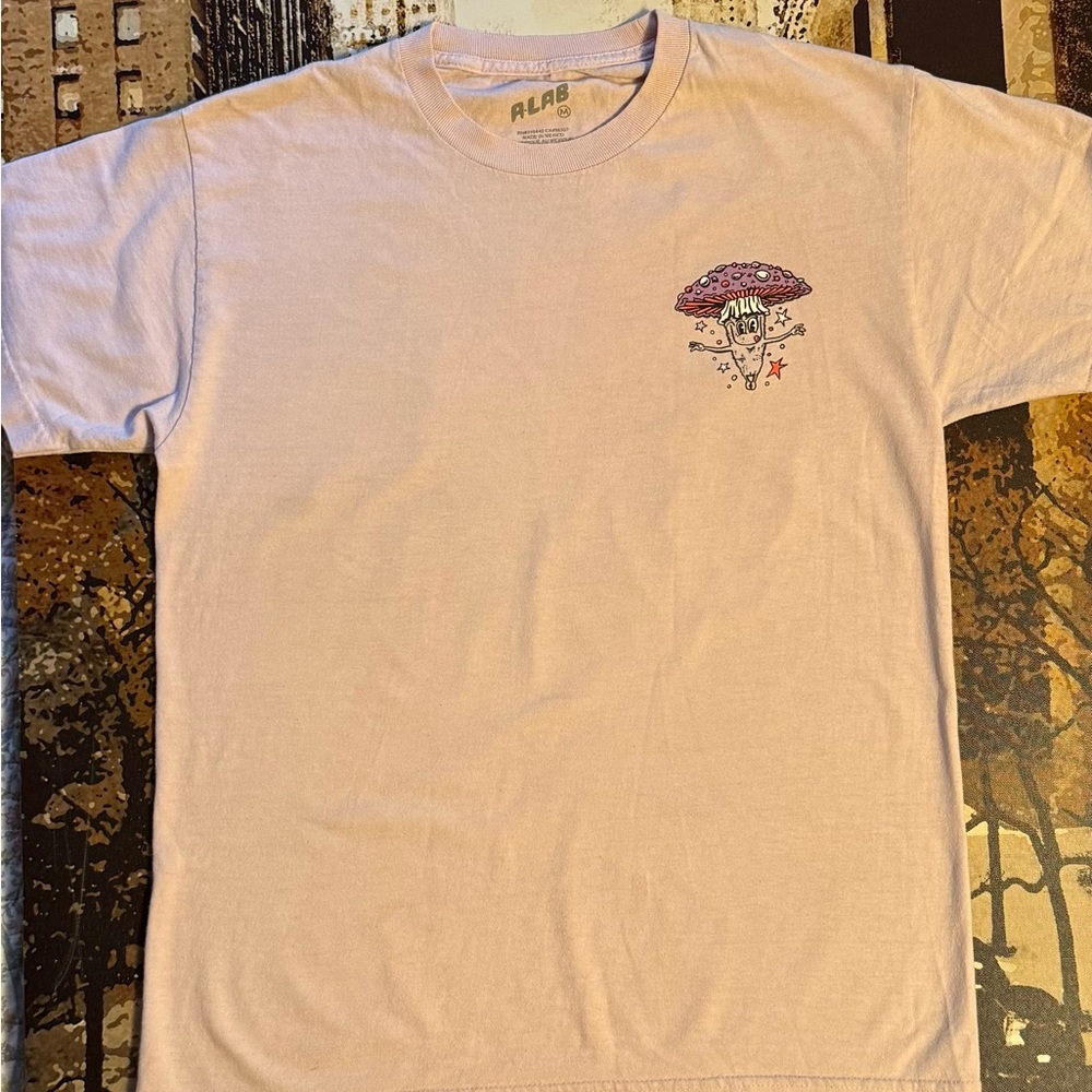 ALAB Men's ash pink Graphic Tee medium fits like a large